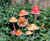 Large Double Wobbly Dot is Mushroom Stake