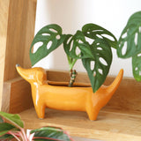 Dachshund Standing Dog Planter