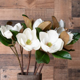 Magnolia Flower Stem