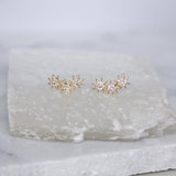 Zircon Star Earring Climbers