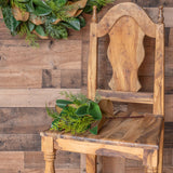 Magnolia Evergreen Leaf Spray