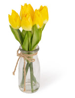Tulips In Jar